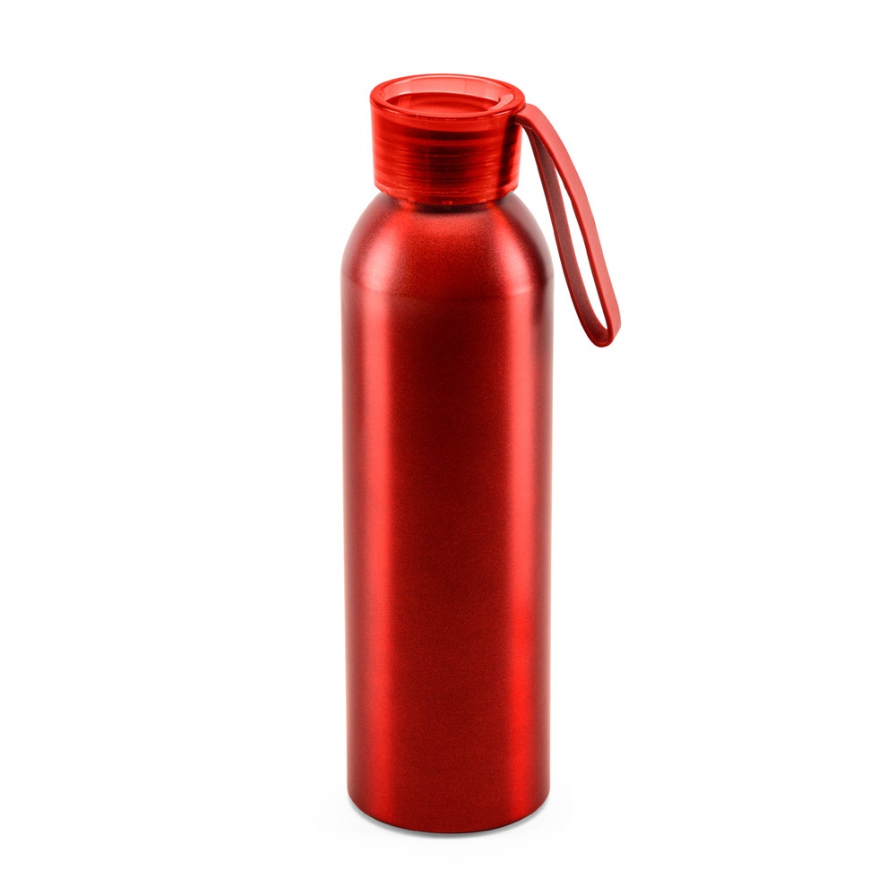 RIO. Aluminium fles met PP dop 660 mL
